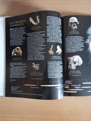 La historia del origen del hombre (GRANDES OBRA...