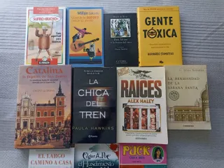 Lote de 11 Libros en Español