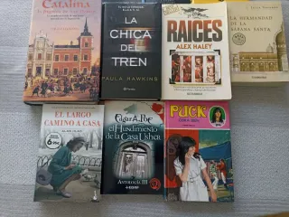 Lote de 11 Libros en Español
