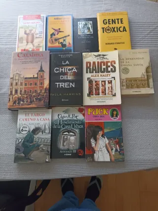 Lote de 11 Libros en Español