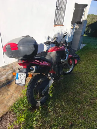 Aprilia Pegaso 650 ie