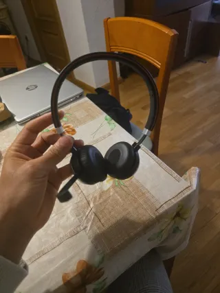 Jabra Evolve 65 + Cavo USB + Adattatore