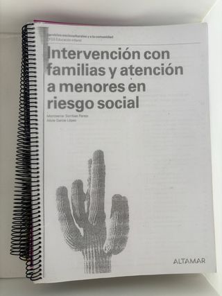 INTERVENCION CON FAMILIAS Y ANTENCION A MENORES