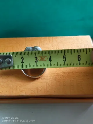 Anillo Tous Plata Oso Mujer