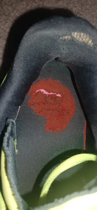 Zapatillas Lacoste Verde y Amarillo