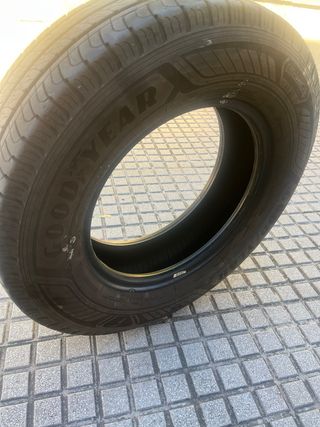 Neumático en buen estado