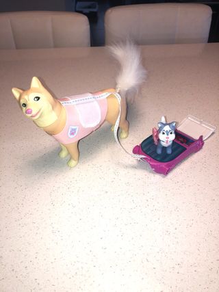 Nancy Rescate en la Nieve