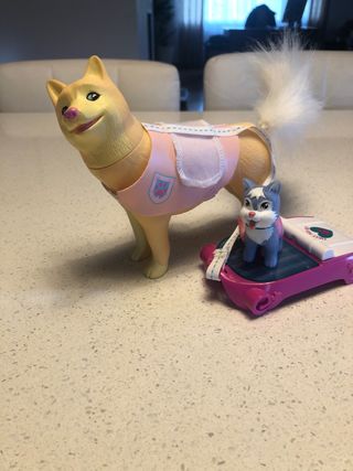 Nancy Rescate en la Nieve