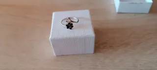 Anillo Plata Ley Huella Corazón