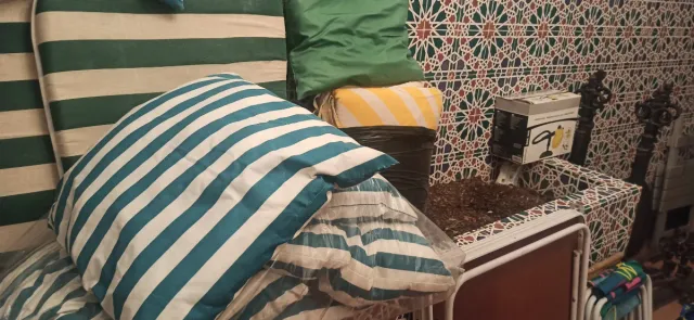 Cojines decorativos de tela