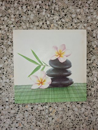 2 Cuadros Decorativos Zen