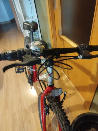 Bicicleta Boomerang P24 Roja