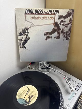 DUAL BASS feat. ALLAN - what will I do (( miguel )