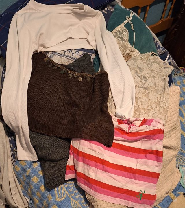 Lote 25 prendas ropa mujer