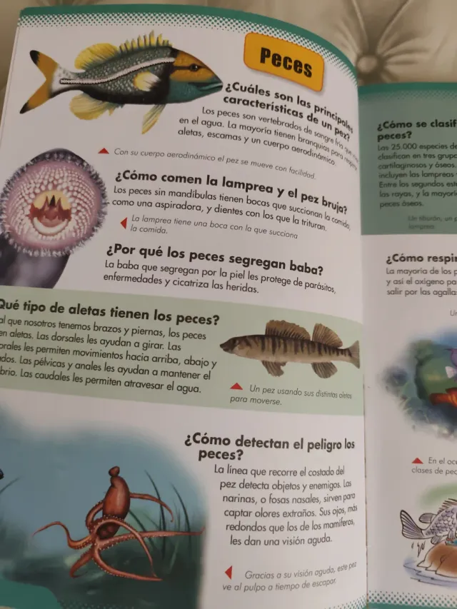 El gran libro del conocimiento