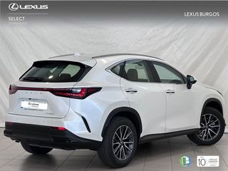 Lexus NX 350H PREMIUM 2WD