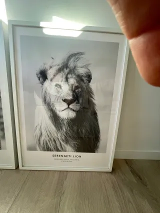 Láminas Decorativas Serengeti (Set de 3)