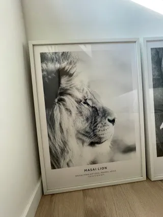 Láminas Decorativas Serengeti (Set de 3)