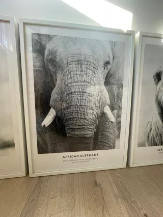 Láminas Decorativas Serengeti (Set de 3)