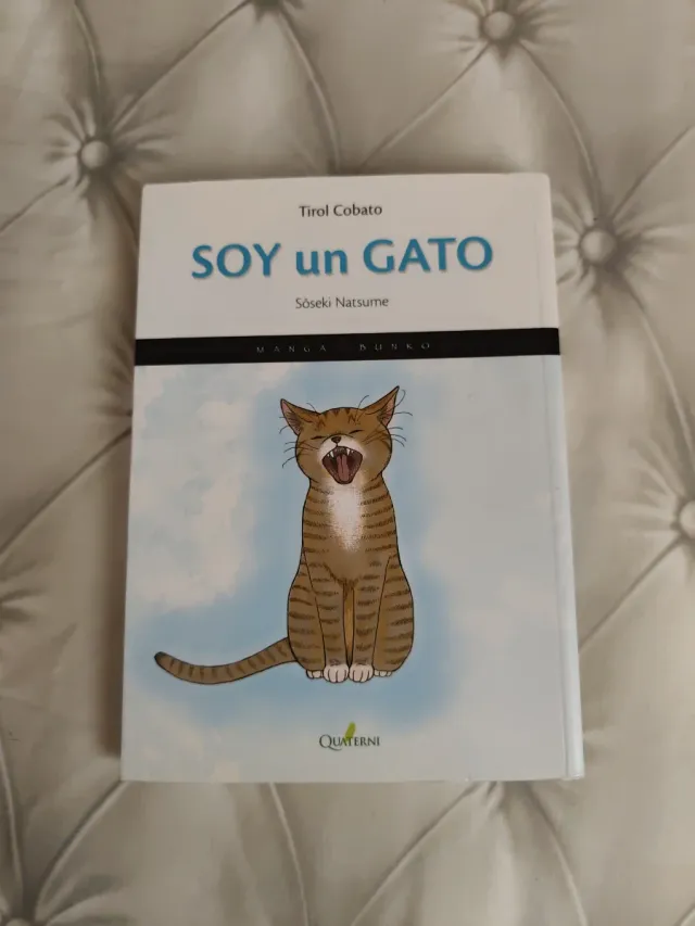 Soy un Gato