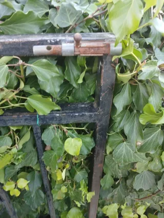 Puerta de hierro forjado