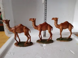 Pastori presepe cammelli