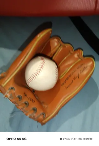 Guante de béisbol profesional