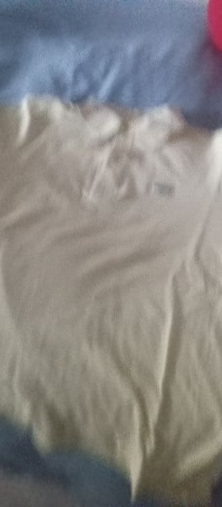 Polos Lacoste Originales