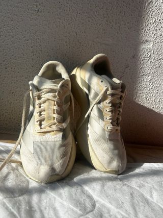 Adidas evo sl para Runinng para hombres y mujeres