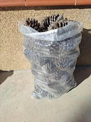 Sacco di ananas per barbecue e stufa