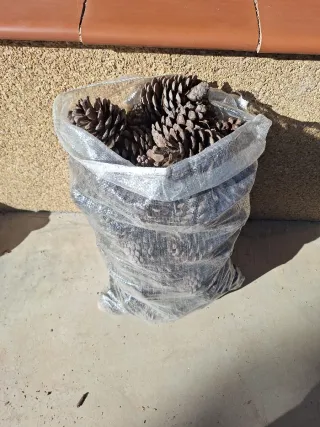 Sacco di ananas per barbecue e stufa