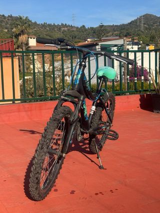 Bicicleta MTB Berg 20”