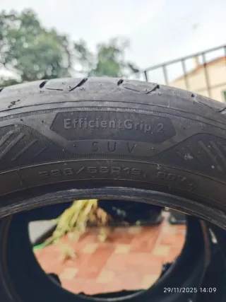 2 Neumáticos Goodyear 225/55 R19