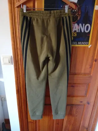 Chándal Real Valladolid Verde