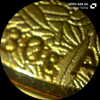 Moneda Panda 500 Yuan 2016 Colección