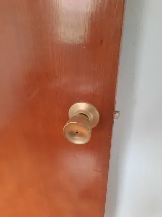 Puerta interior de madera