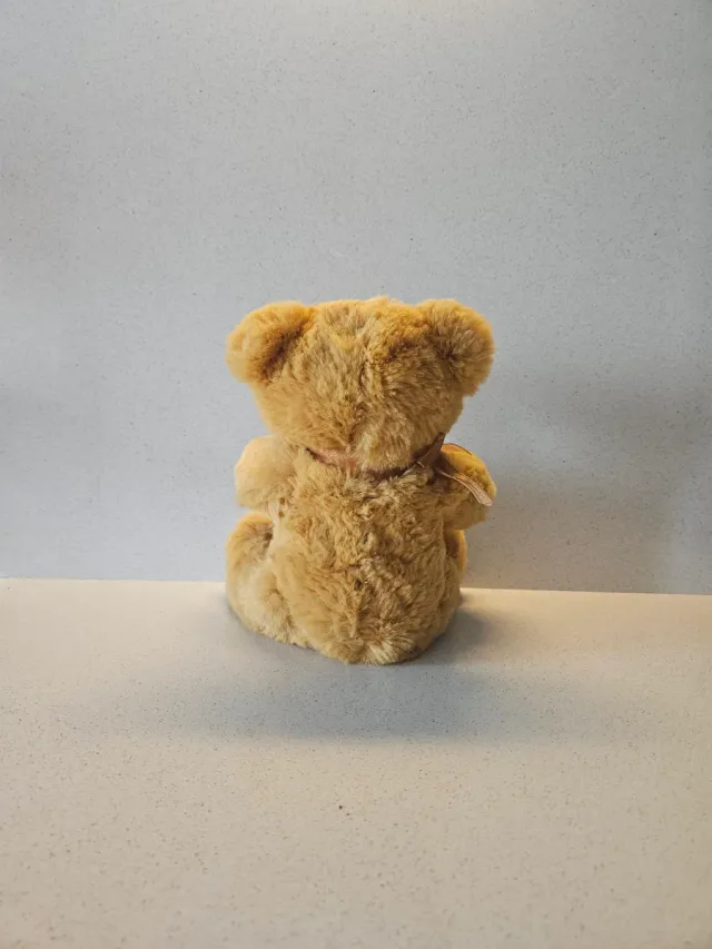 Oso peluche pizarra corazón