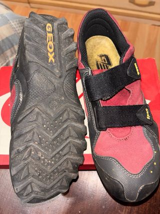 Zapatillas Geox Talla 38 Deportivas