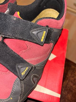 Zapatillas Geox Talla 38 Deportivas