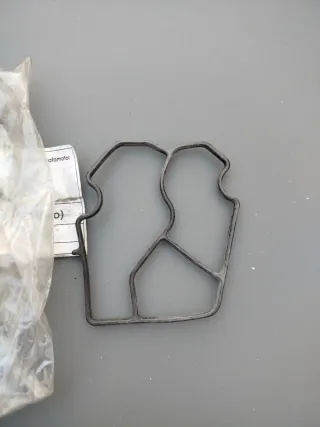 Junta Cuerpo Enfriador Aceite BMW 520 E39