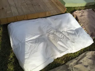 Lote productos para perro