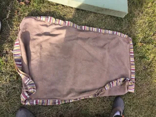 Lote productos para perro