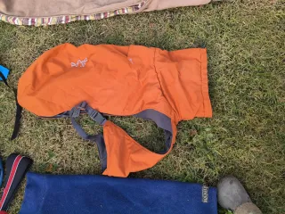 Lote productos para perro