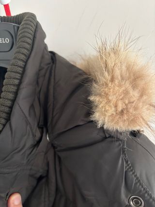 Cazadora Florentino verde oliva Talla 50