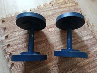 Mancuernas 10.8 kg (unidad)