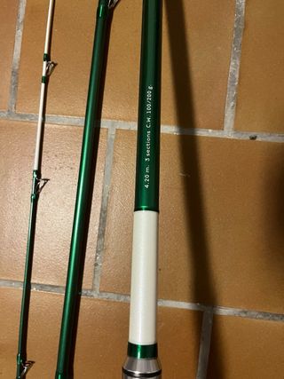 Caña de pescar Vercelli Panthera