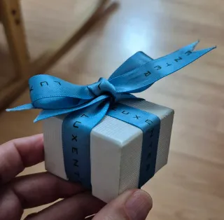 Conjunto Luxenter Colgante y Pendientes Plata