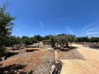 Terreno en venta en Torreblanca