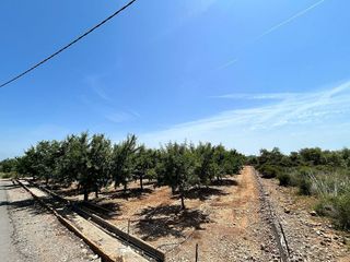 Terreno en venta en Torreblanca