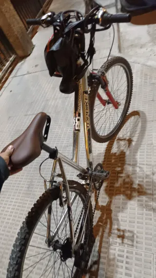 Bicicleta de montaña Topbike